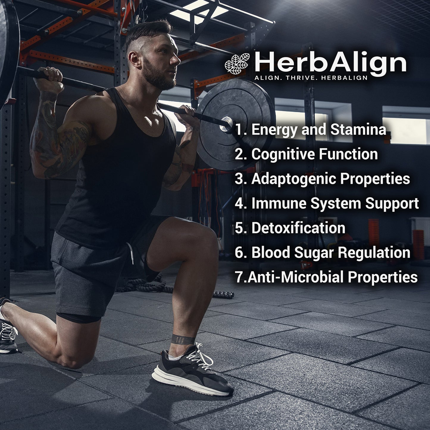 Herbalign Shilajit Capsules – Natural Immunity Booster, Energy Enhancer & Performance Optimizer from Himalayan Pure Shilajit